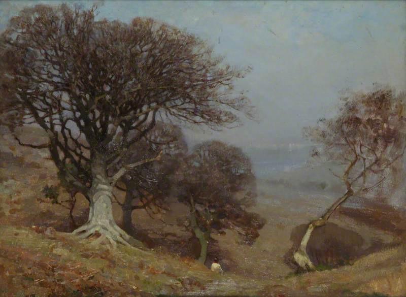 Beeches on the Quantocks